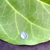 Natural Blue Sapphire