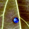 Natural Blue Sapphire