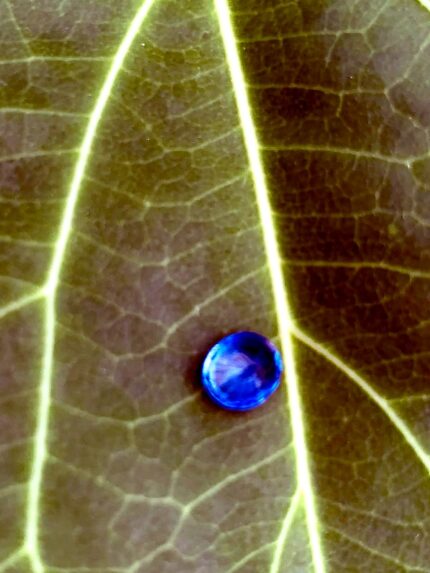 Natural Blue Sapphire