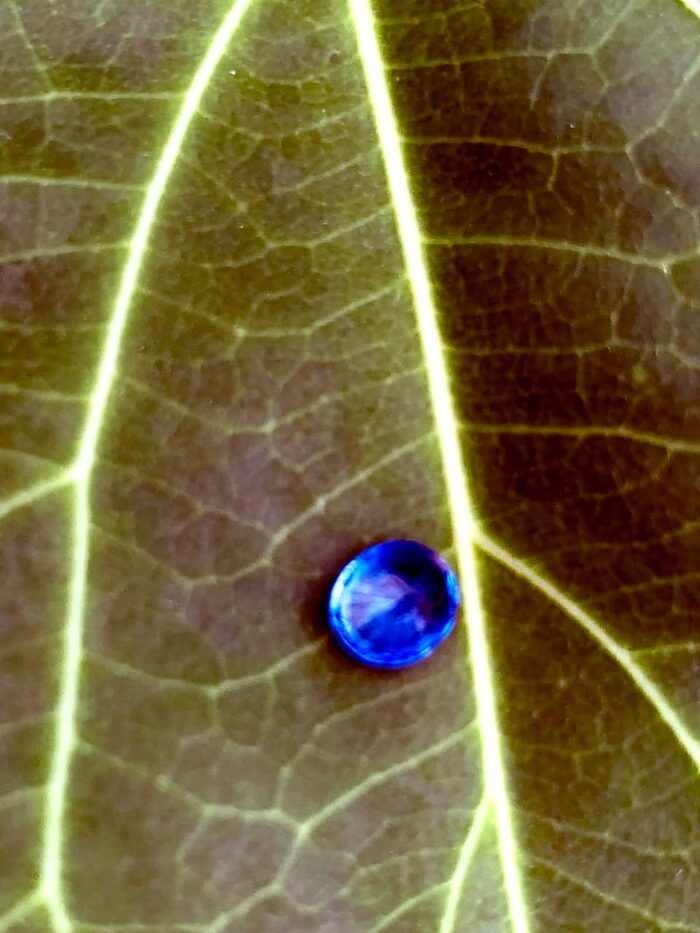 Natural Blue Sapphire