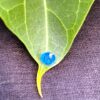 Natural Blue Sapphire